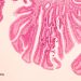Könnte das Rinderleukämievirus eine Ursache für Brustkrebs sein?