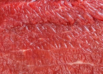 Der Zusammenhang zwischen Brustkrebs und einem Virus in Fleisch und Milchprodukten