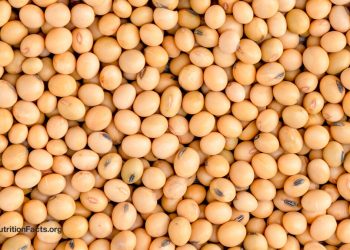 Erhöht weniger Protein FGF21 für ein längeres Leben?