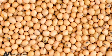 Erhöht weniger Protein FGF21 für ein längeres Leben?