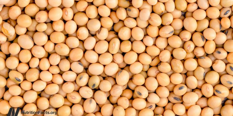 Erhöht weniger Protein FGF21 für ein längeres Leben?