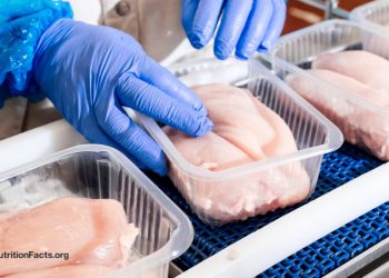 Wie groß ist das Krebsrisiko durch verarbeitetes Fleisch?