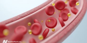 Wie eine einzige Mahlzeit Ihre Arterien und Lungen schädigen kann