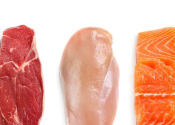Essen Sie viele Pflanzen und Tiere